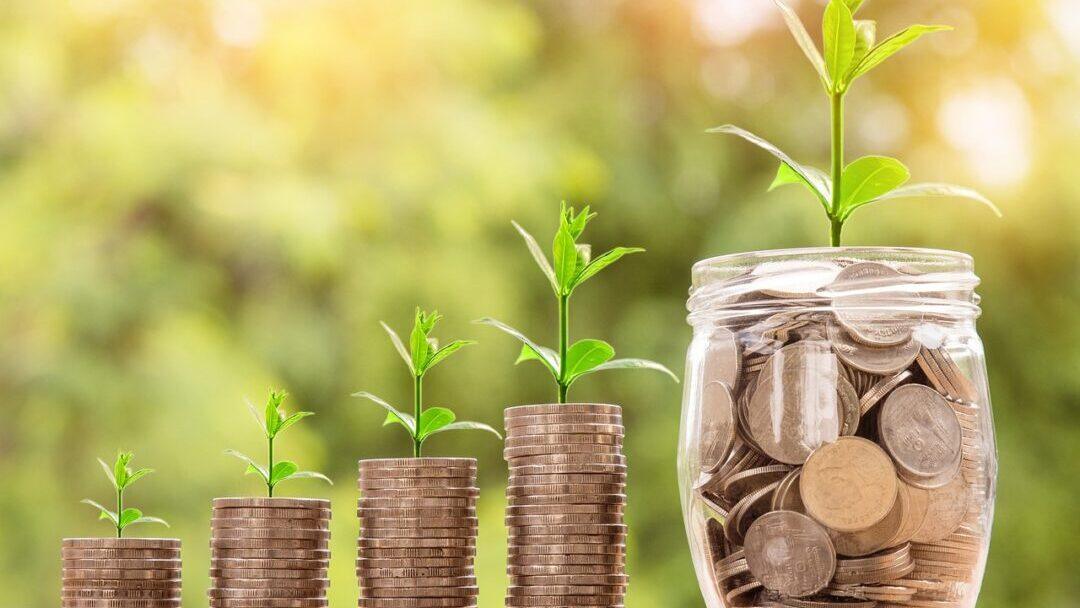 stacks of coins in a row with various sized plants growing out of them